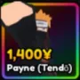 Payne game image