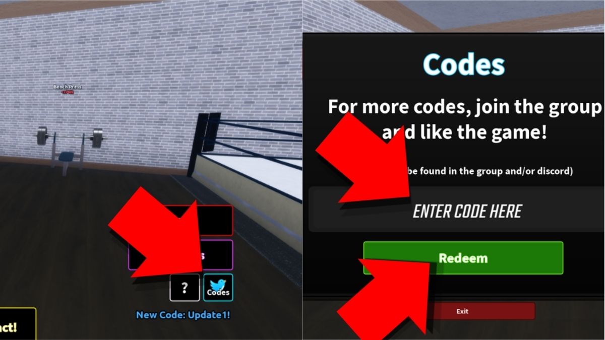 Instructions on redeeming Coach a Fighter codes