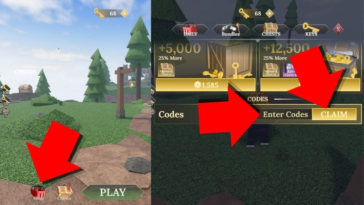 Final Swarm code redemption system screenshot