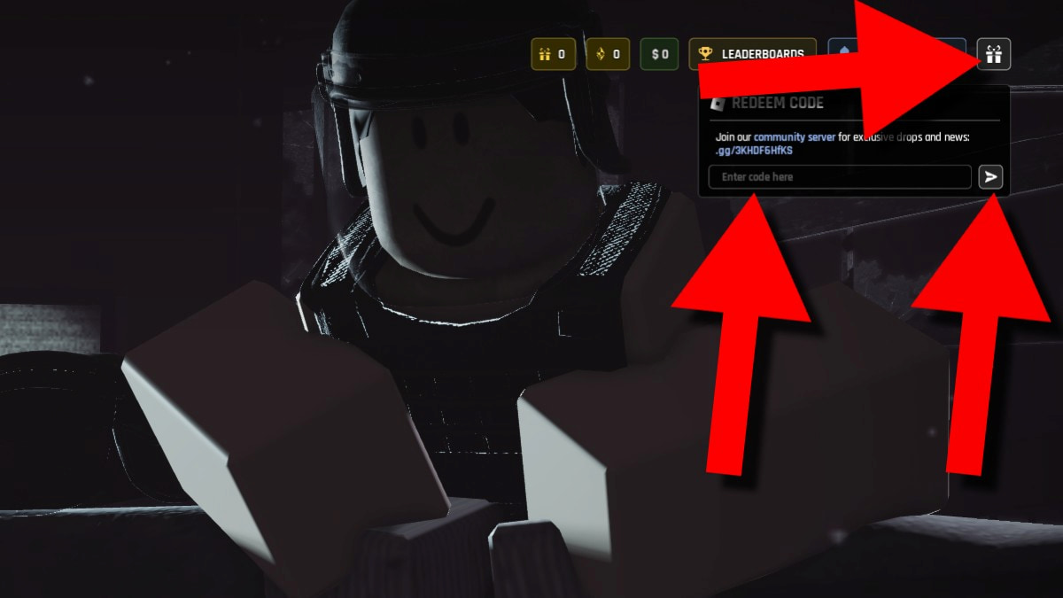 Instructions on redeeming codes in Havoc