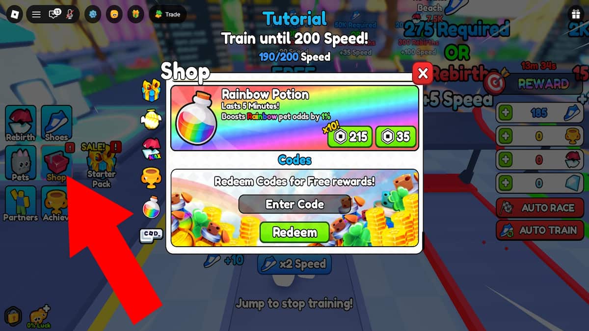 Arrow pointing to the shop button and code system.