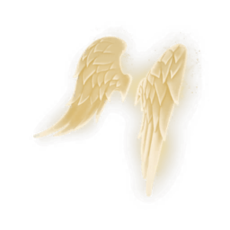 Wings of Light