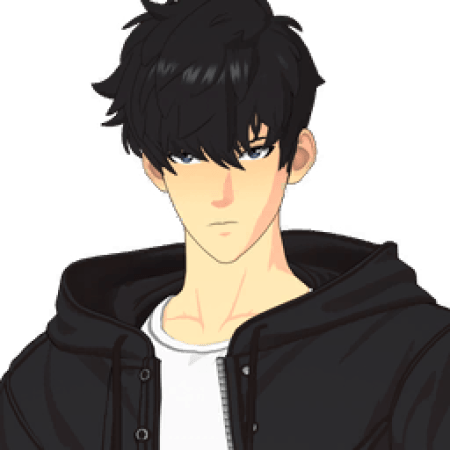 Sung Jinwoo skin