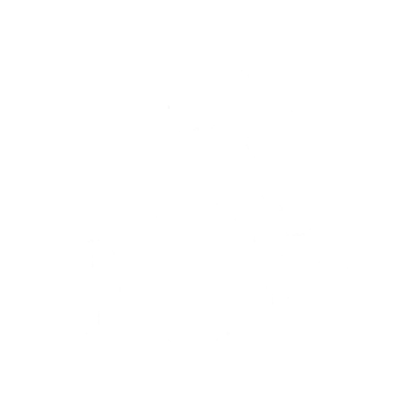 Lil’ Big Jellyfish
