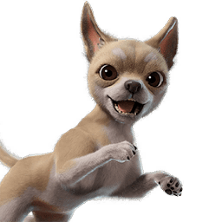 Teacup Chi-Pup