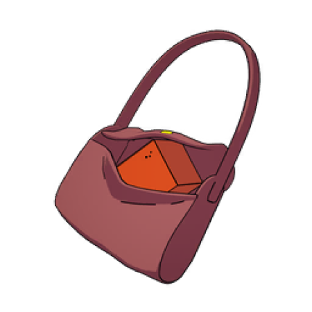 Francine’s Purse