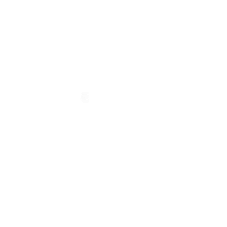 Shadow Summoner