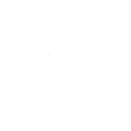 Shadow Summoner Emote