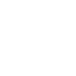 Peace Approved Emote