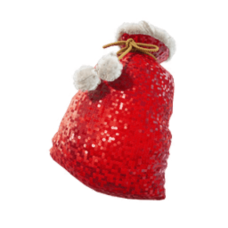 Winterfest Sack