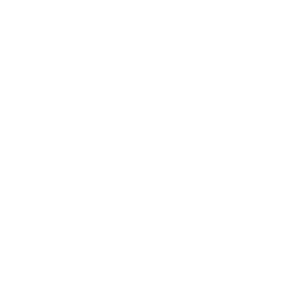 Fast Slow Disco Emote