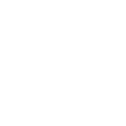 Royal Ride Emote