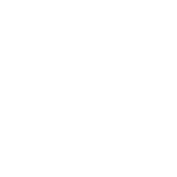 Stan’s Jam Emote
