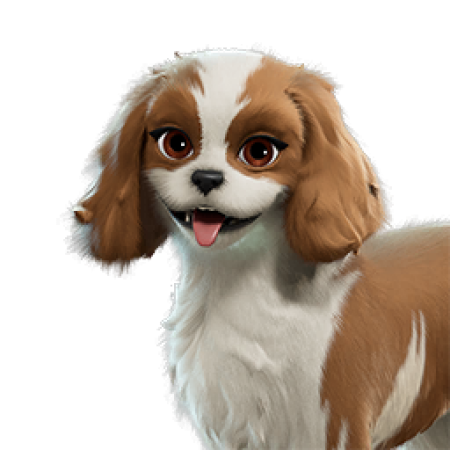 Sandy Spaniel