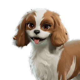 Sandy Spaniel Sidekick