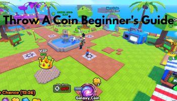 Throw a Coin Beginner's Guide