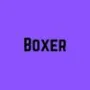 Boxer game image