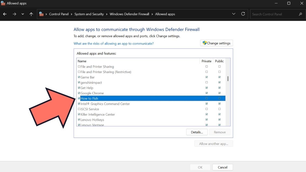 Allowing firewall settings in How to Fish