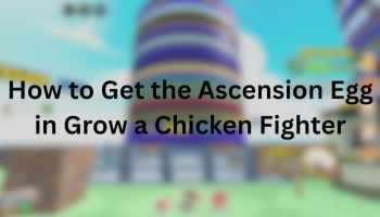 How to Get Ascension Egg in Grow a Chicken Fighter