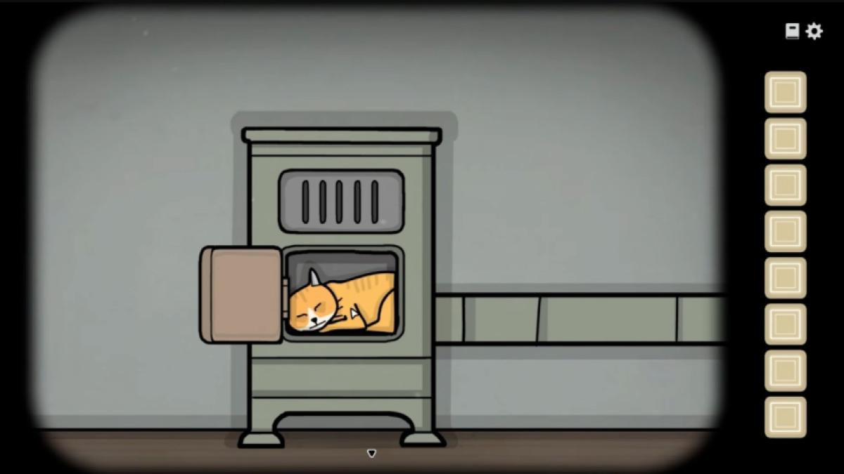 Cat Location 4