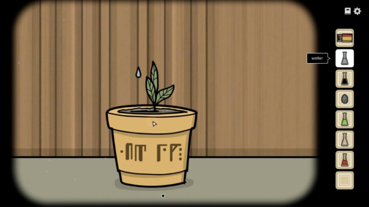 Growing the plant