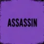 ASSASSIN game image