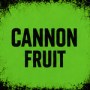 Cannon fruit game image