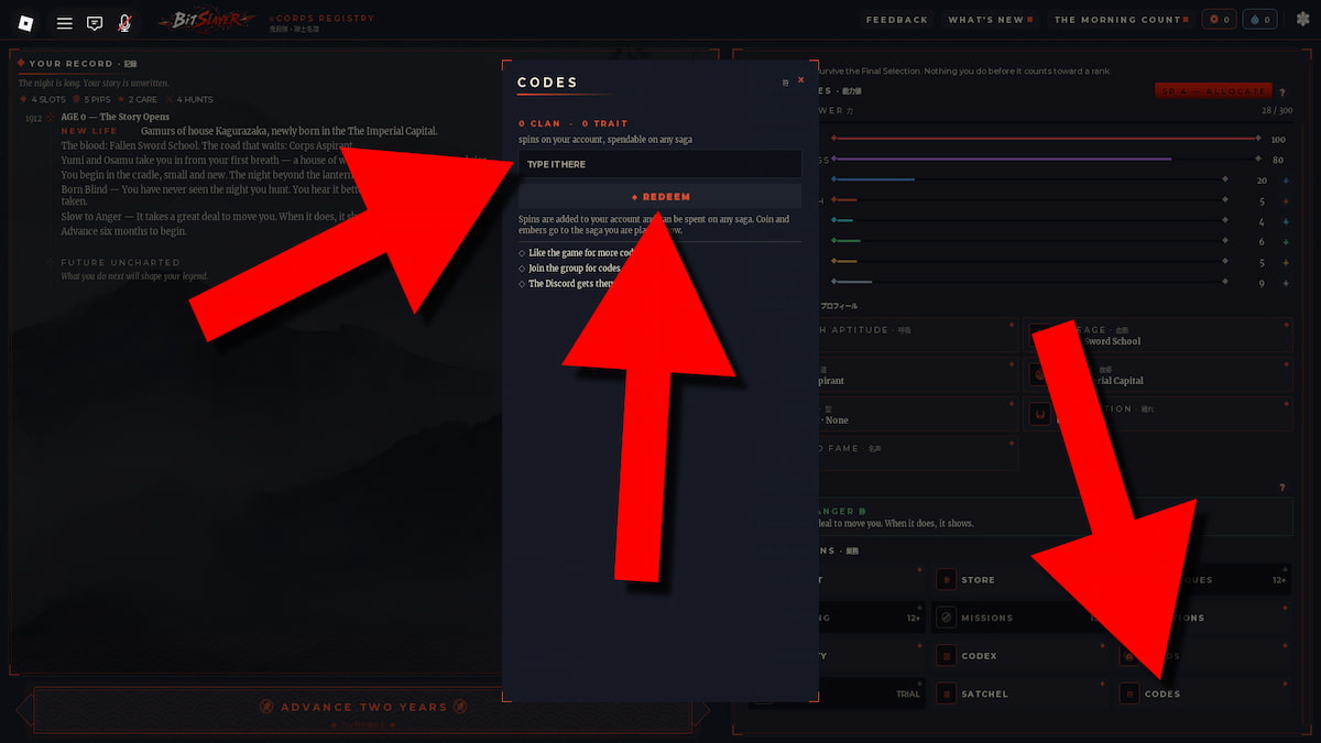 BitSlayer codes redemption window with arrows showing which buttons to click