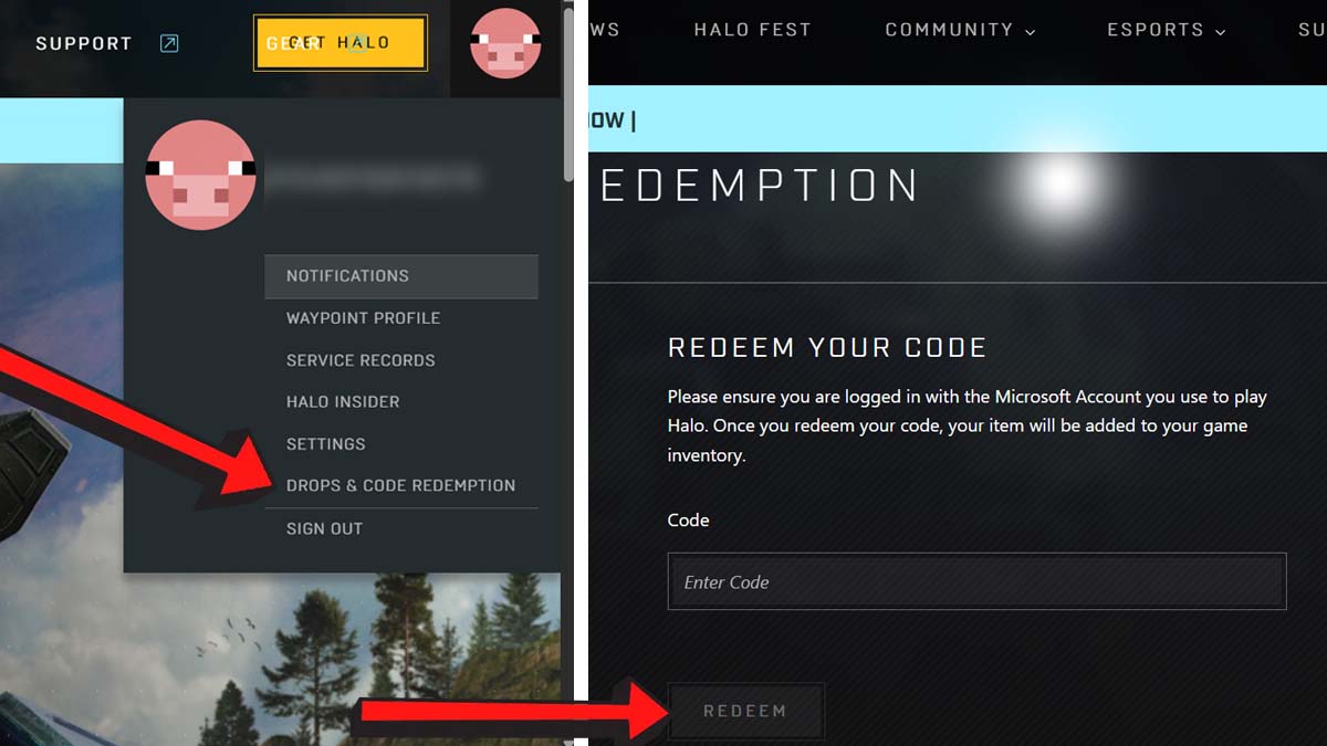 Halo Campaign Evolved Codes Redemption System on the Halo Waypoint website