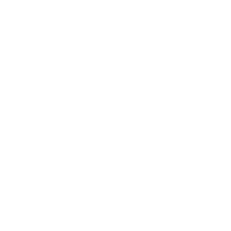 Leaf Blower