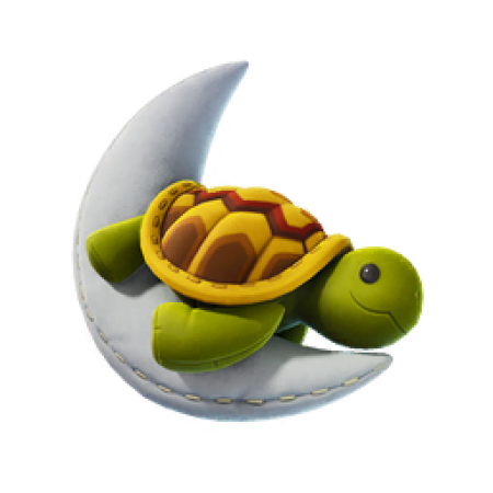 Aquamarine the Turtle