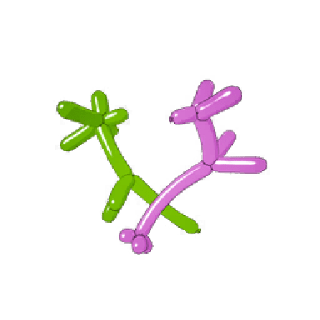 Balloon Animals