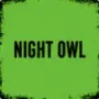 NIGHT OWL game image