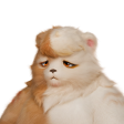 Grizbo, a Earth DPS Aniimo