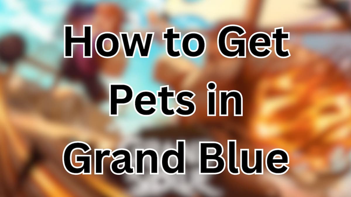 How to Get Pets in Grand Blue