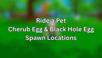 Ride a Pet Cherub Egg and Black Hole Egg Spawn Locations