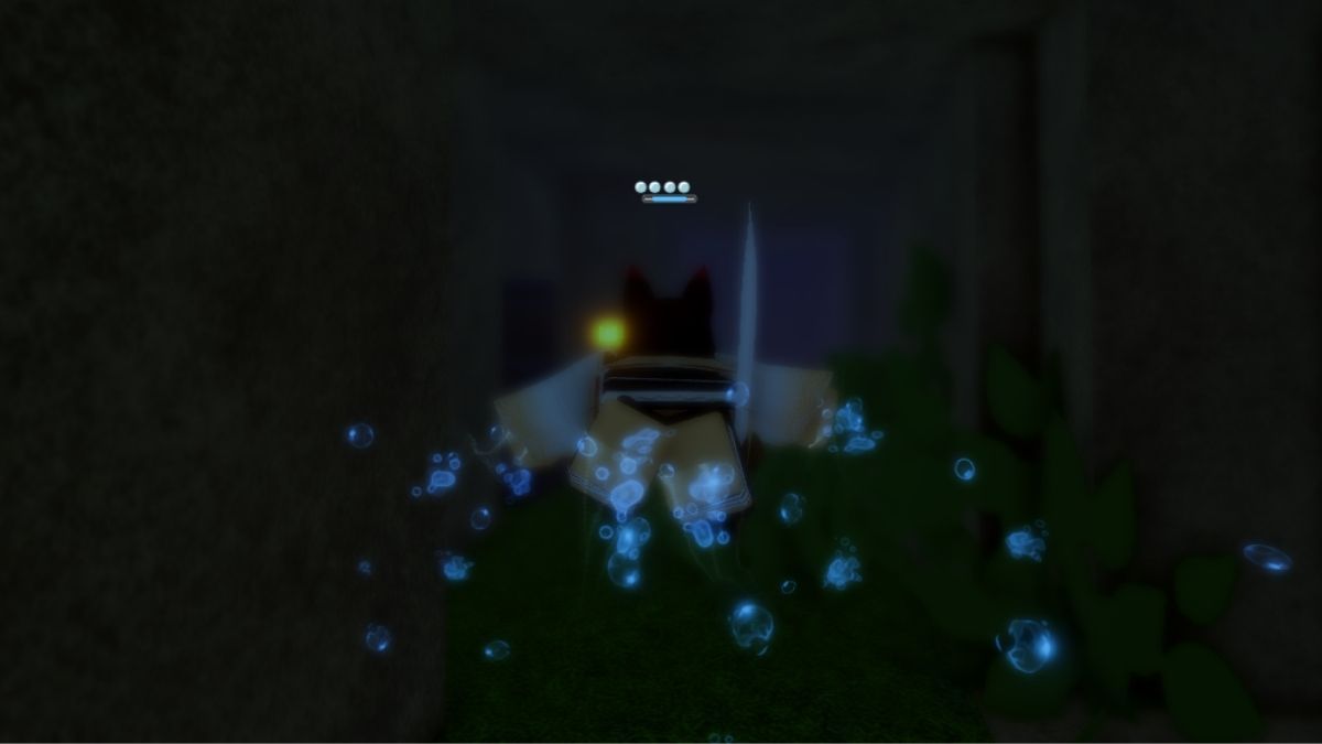 Water Trainer Location in Slayers 2
