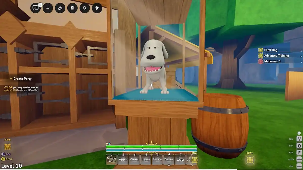 Small Dog Pet in Grand Blue