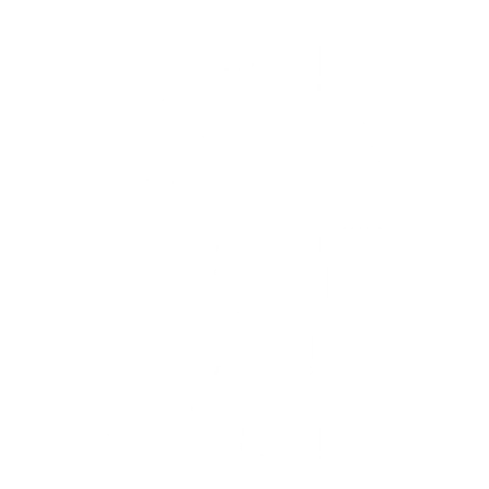 Platformer Pace