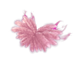 Madison’s Angel Wings Back Bling
