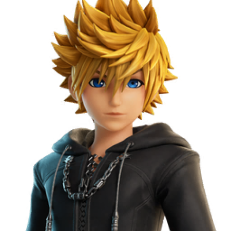 Roxas skin