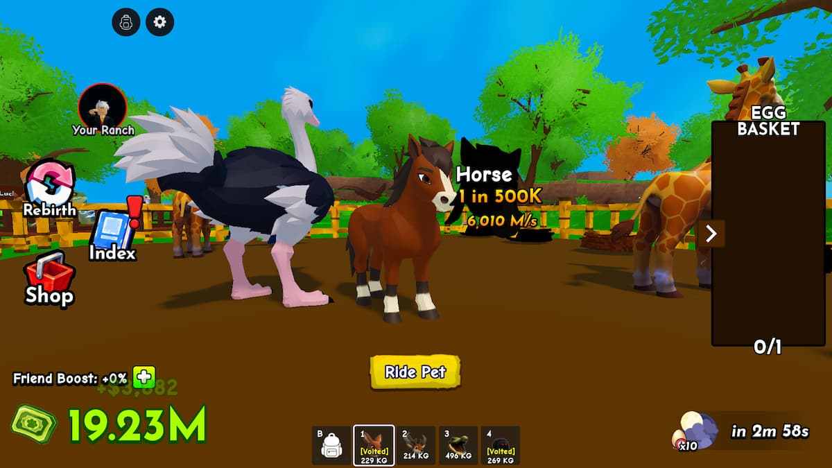 image showing Horse in Ride a Pet