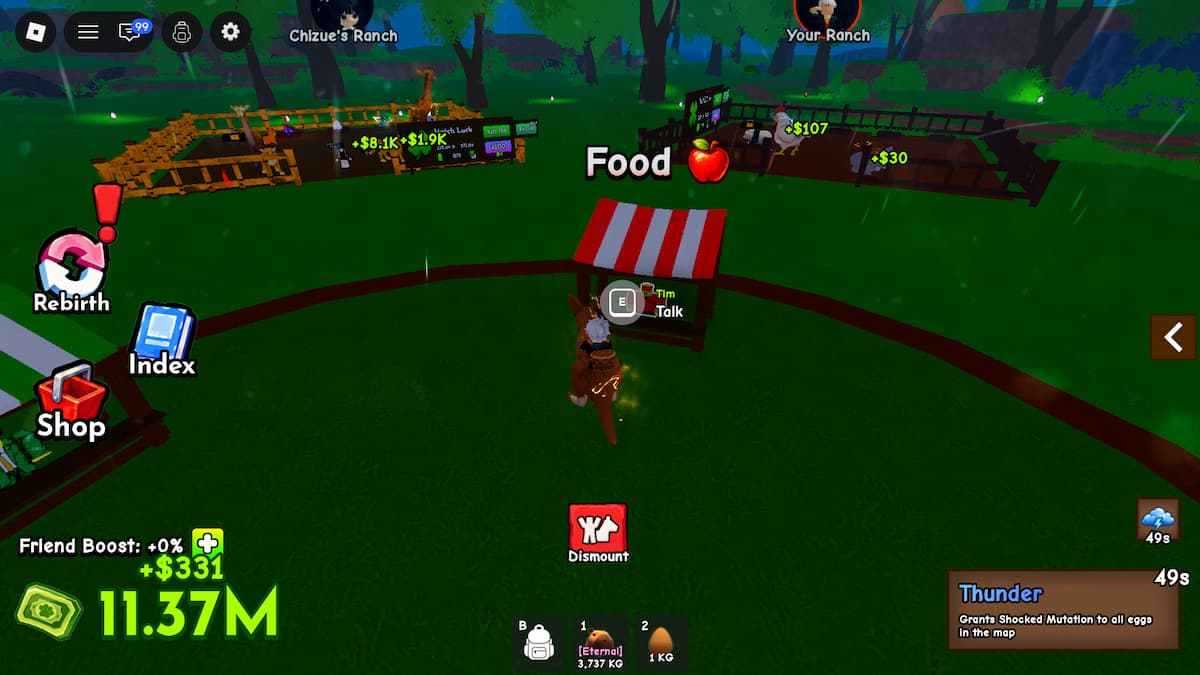 image showing the Thunder weather event in Ride a Pet