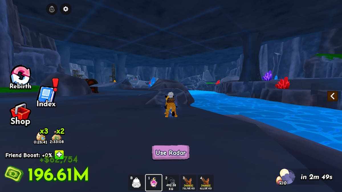 image showing the cave in Ride a Pet