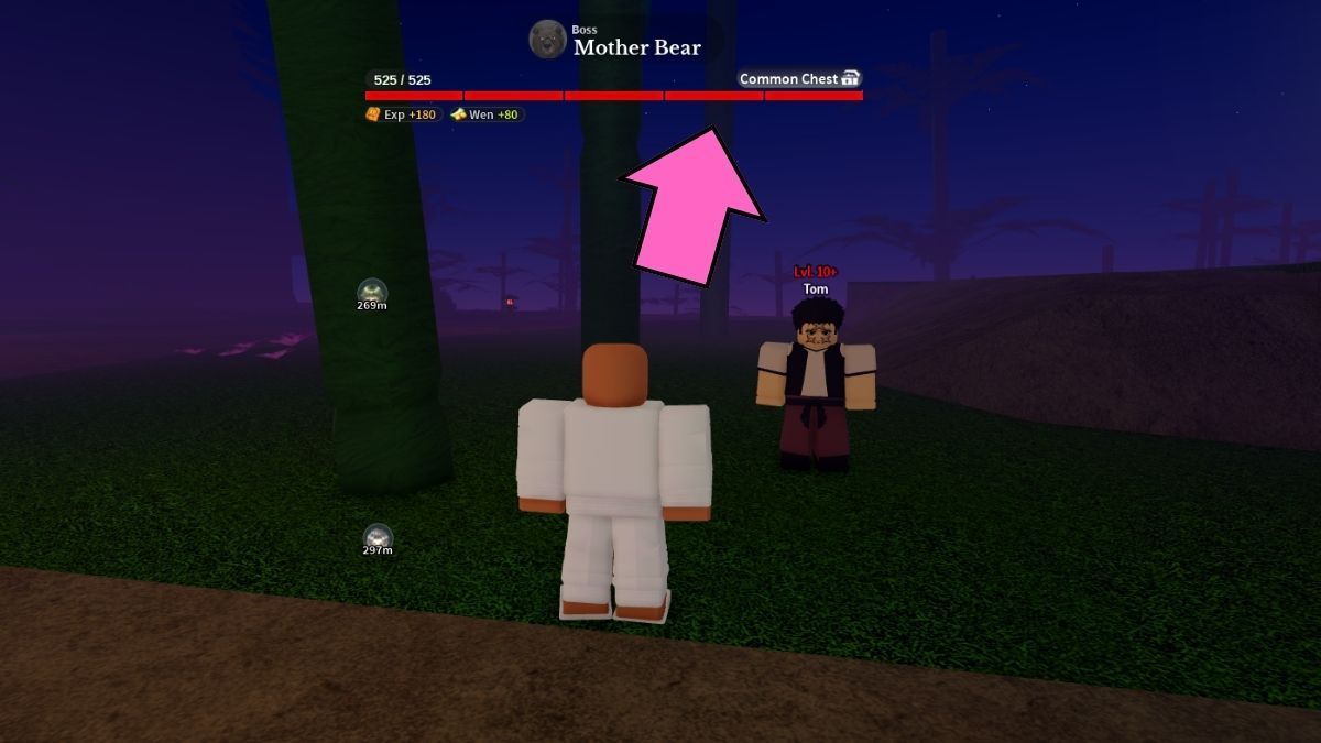 NPC Tom you can use to locate the Waterfall Cave in Slayers 2