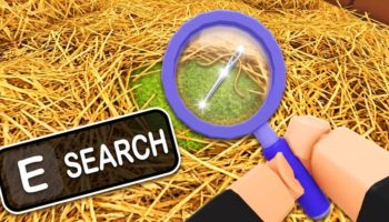 Search For The Needle Featured Image