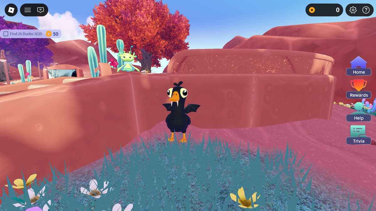 Duck Location 1