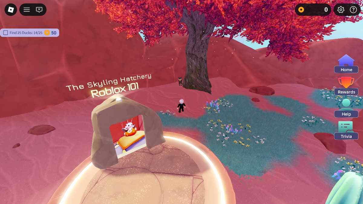 Duck Location 15