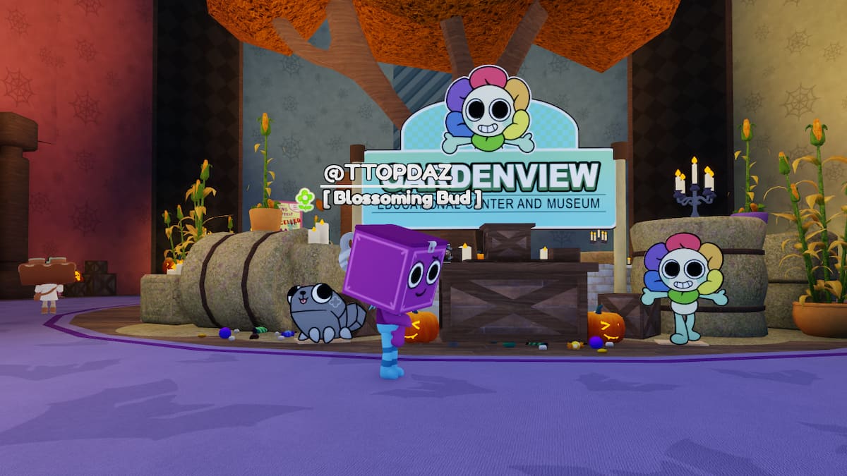 The Gourdy's Lockbox Arena