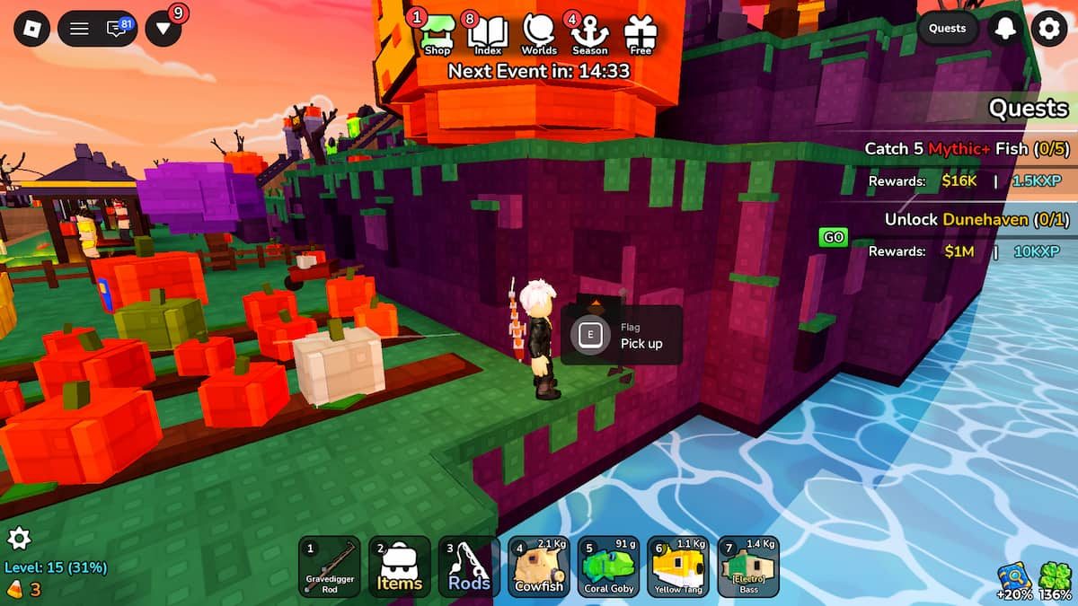 Flag Location in Deep Fishing